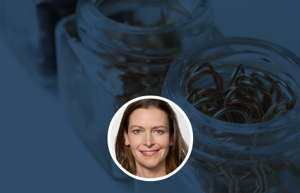 Anpassungsbedarf bei den Statuten und beim Organisationsreglement